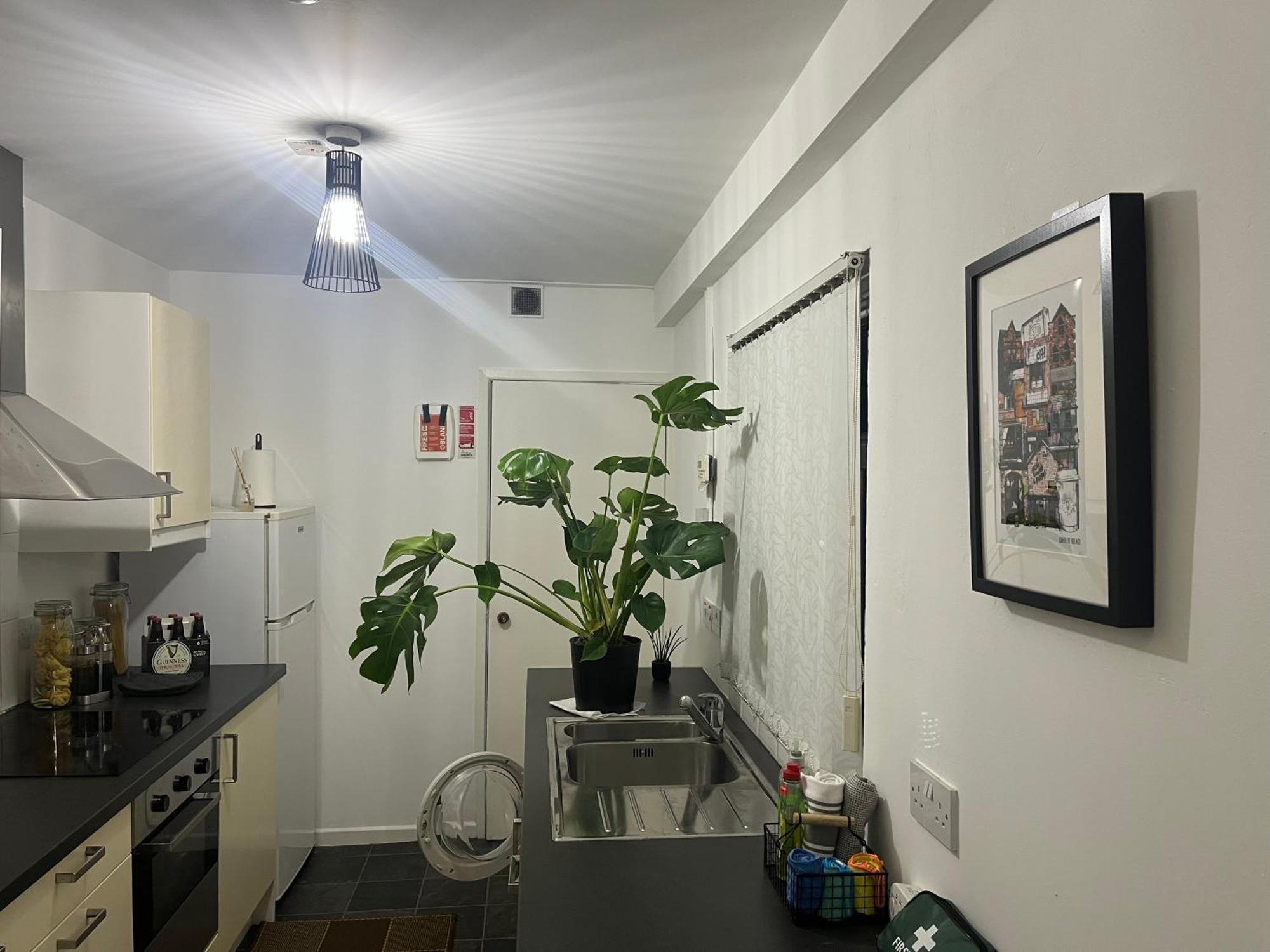 Loganberry Apartment Belfast Exterior foto